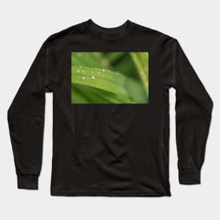 Droplets on a leaf Long Sleeve T-Shirt